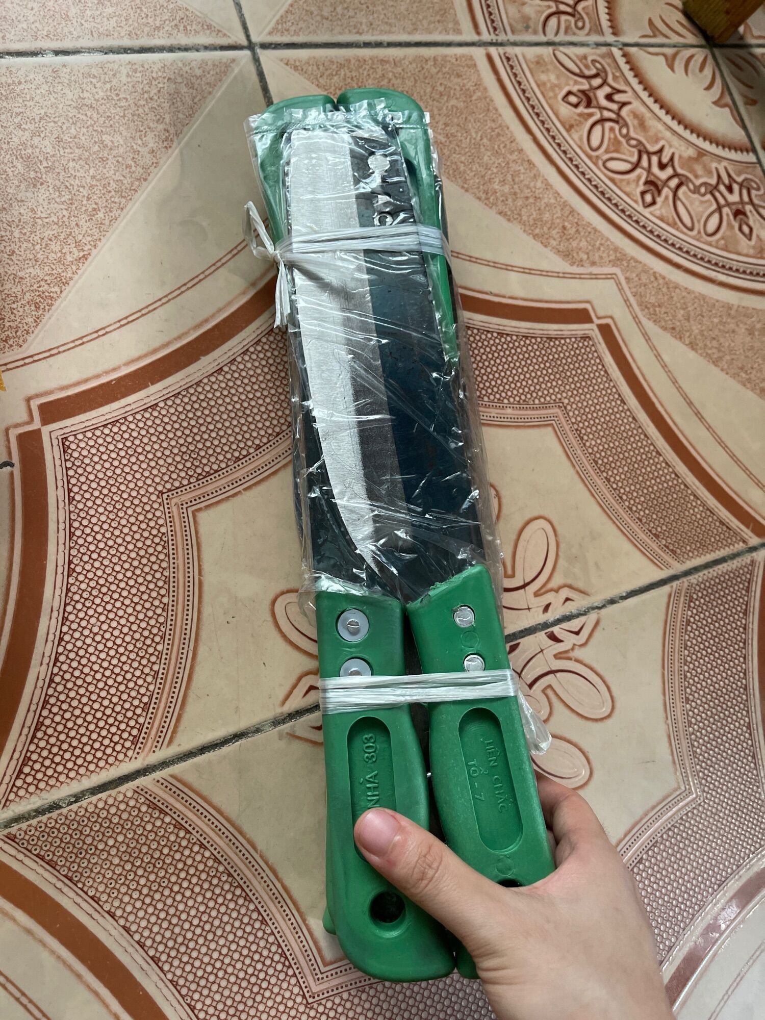 Dao thái Đa Sỹ