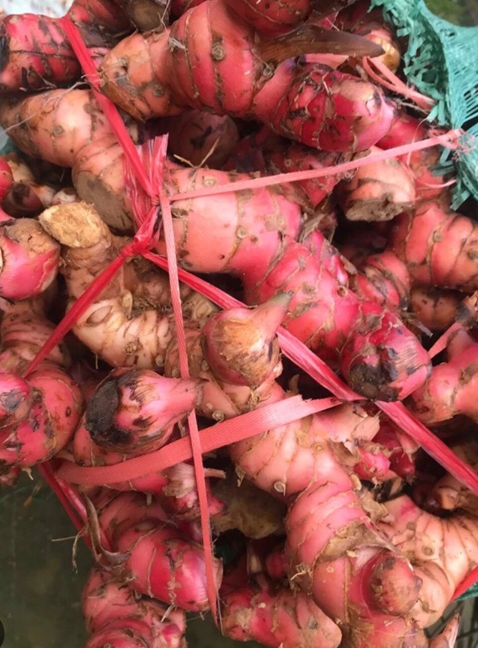 củ riềng tươi 500g