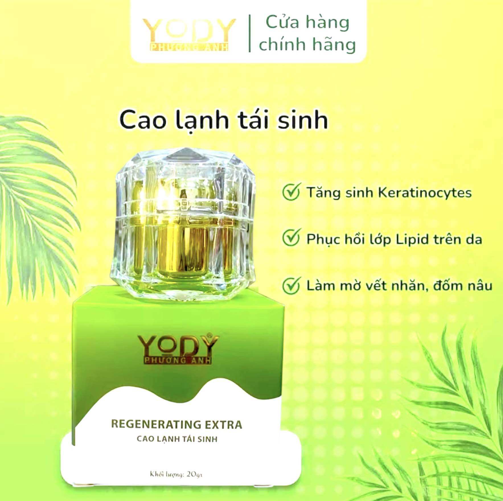 Cao lạnh tái sinh phương anh - Giúp tái sinh làn da mới phục hồi da sau tái tạo Hộp 20gr