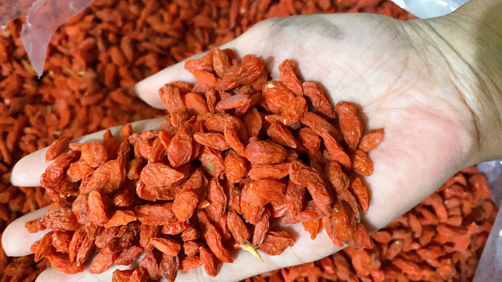  500G Kỷ tử Ninh Hạ siêu ngon 