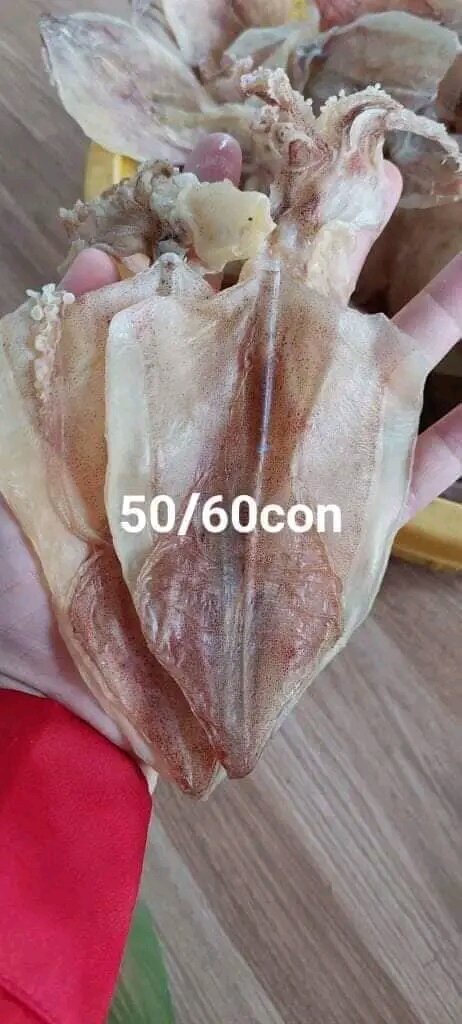 KHÔ MỰC 500gr loại 50_55c 1kg