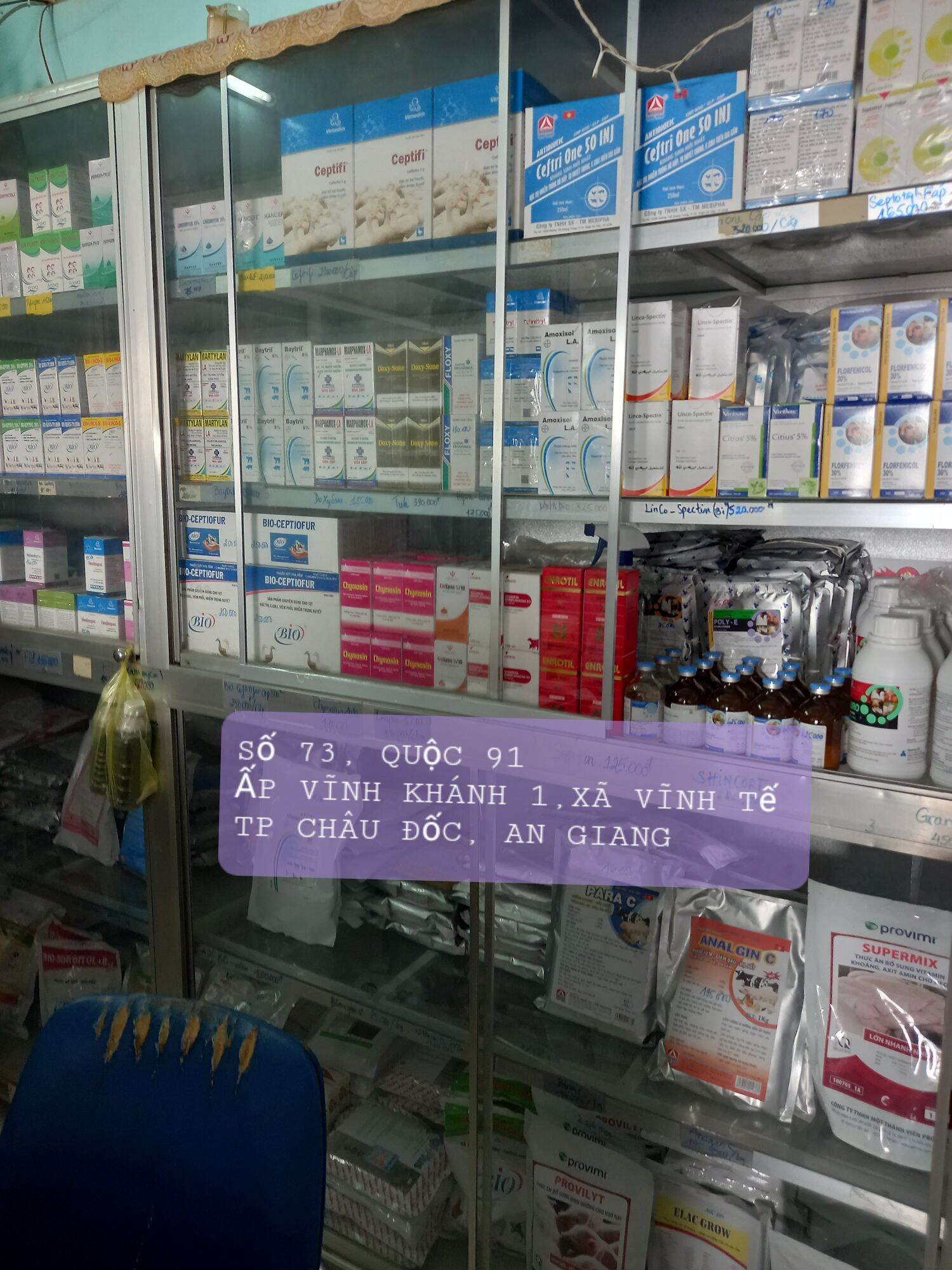 Nọc Rắn Black Mamba,Lọ 10 Viên,Tăng Lực Gà Đá
