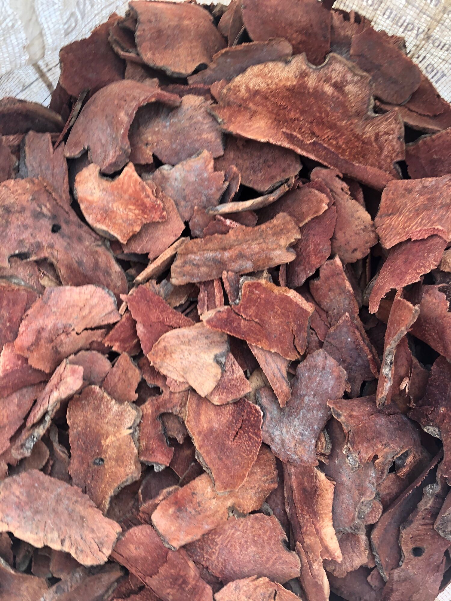 Khúc khắc đỏ ( Thổ Phục Linh 120k/2kg)