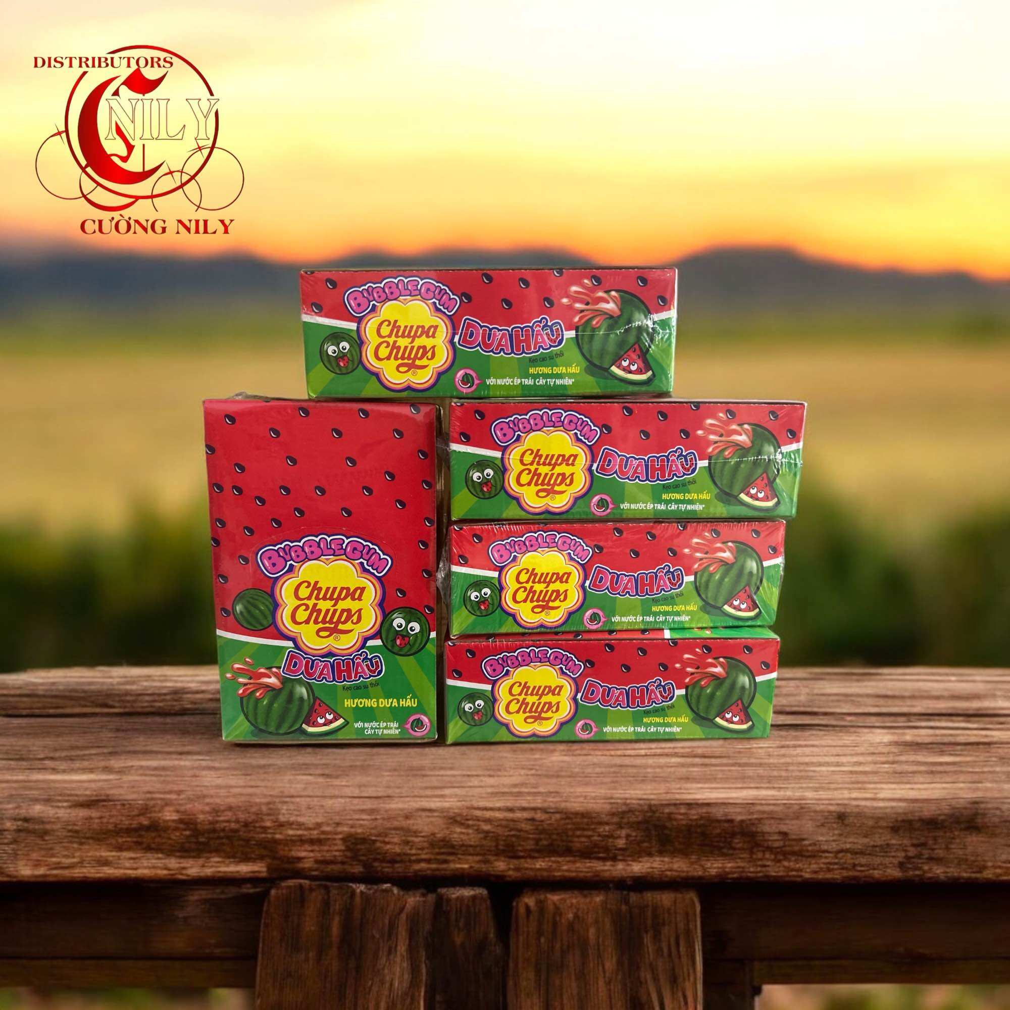 Hộp kẹo gum chupa chups dưa hấu 74 viên