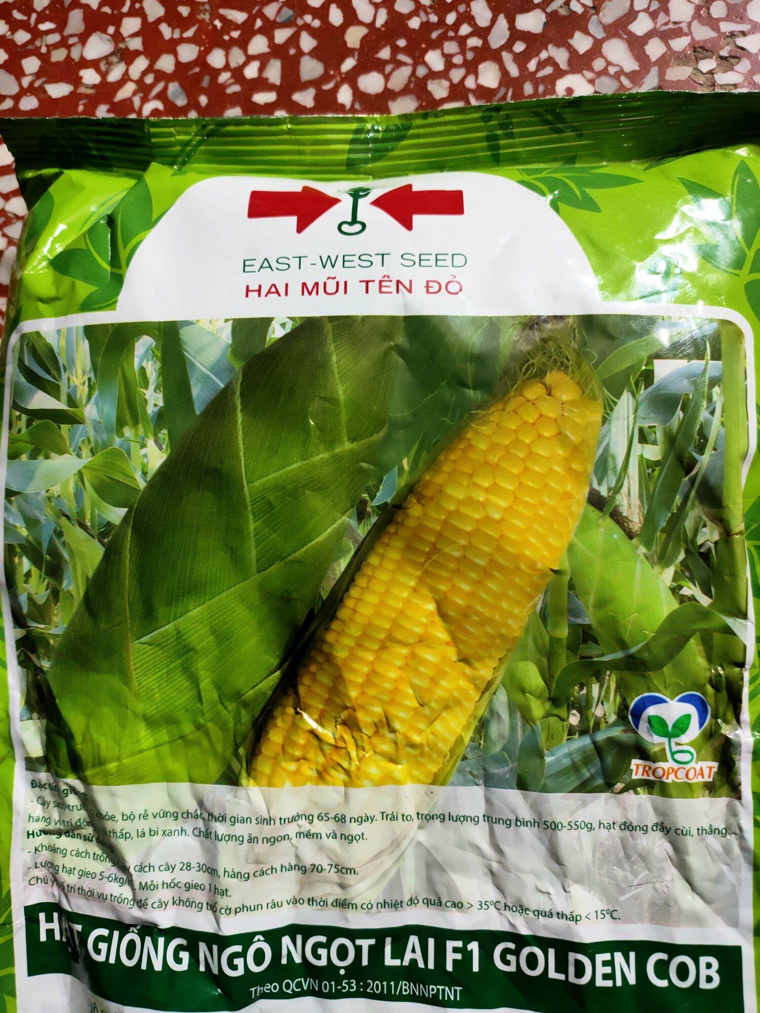 hạt giống ngô ngọt (bắp mỹ) 2 mũi tên đỏ