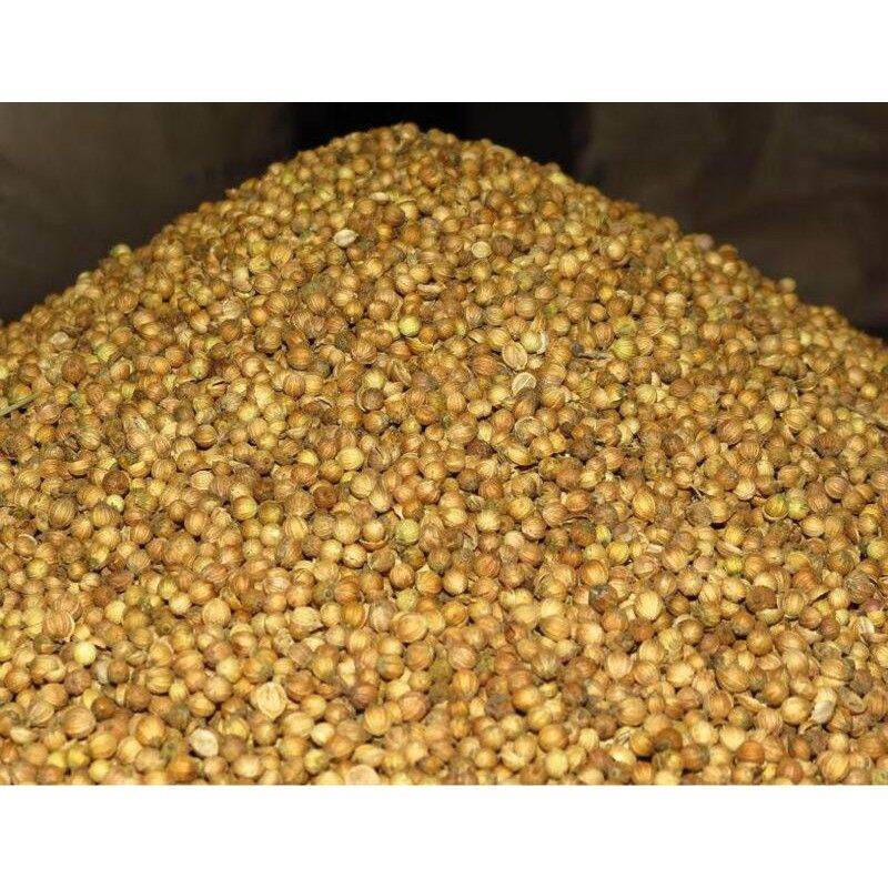 500gr Hạt Ngò ( Hạt mùi) Tây Bắc Loại 1