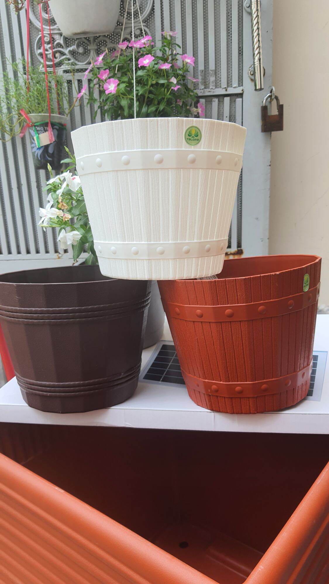 combo 5 chậu nhựa kiểu thùng gỗ đk 21cm