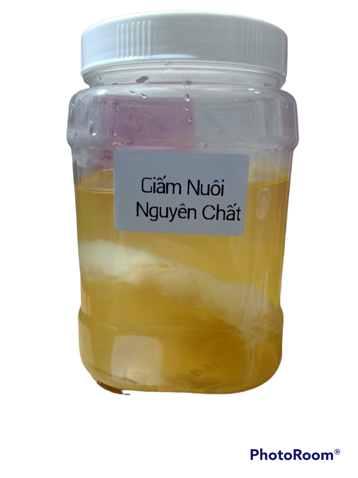 Giấm Nuôi có con giấm dày, to (Ảnh thật)