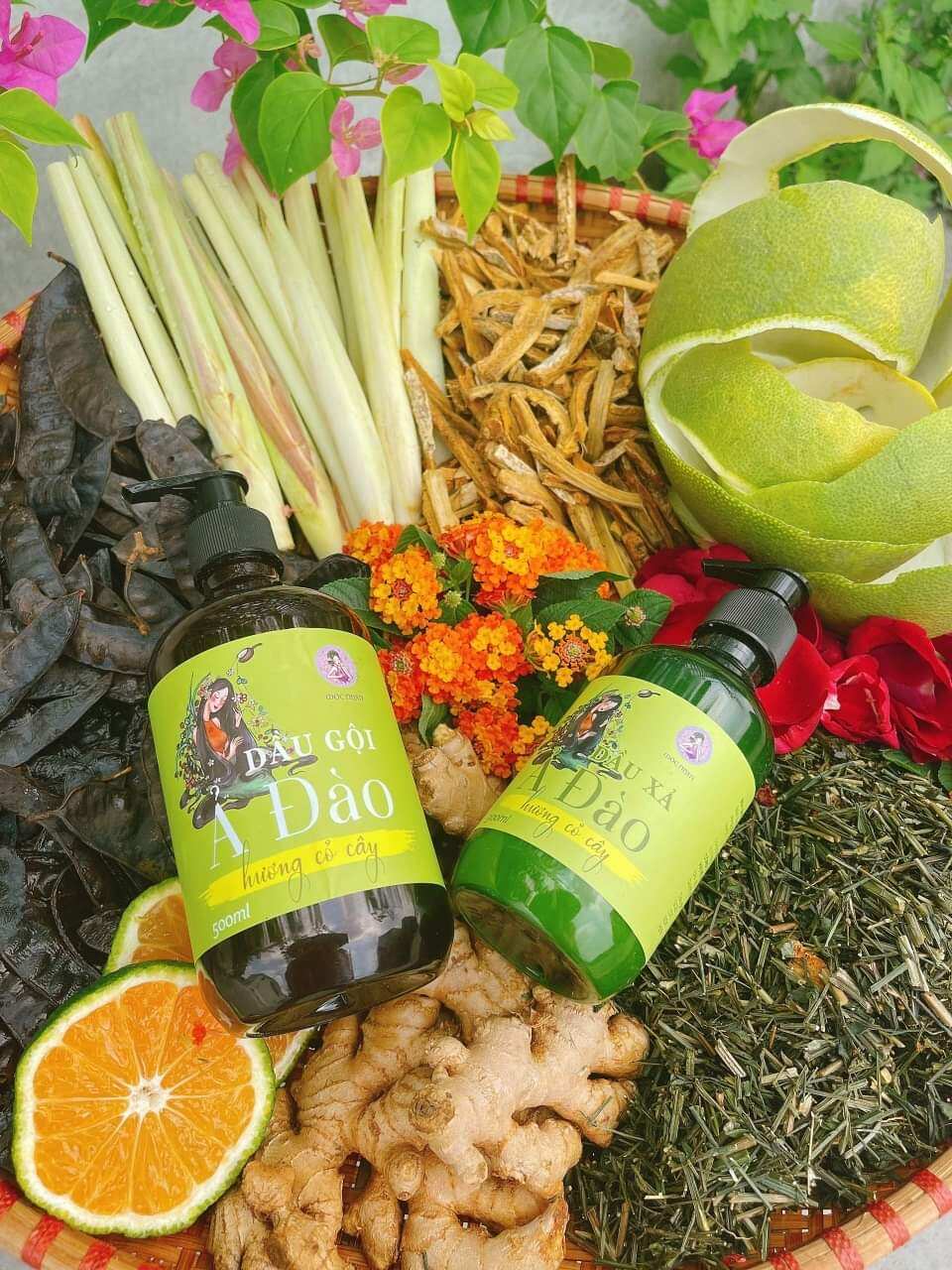 Dầu Gội Bồ Kết Thảo Dược Ả Đào Mộc Nhan Natural