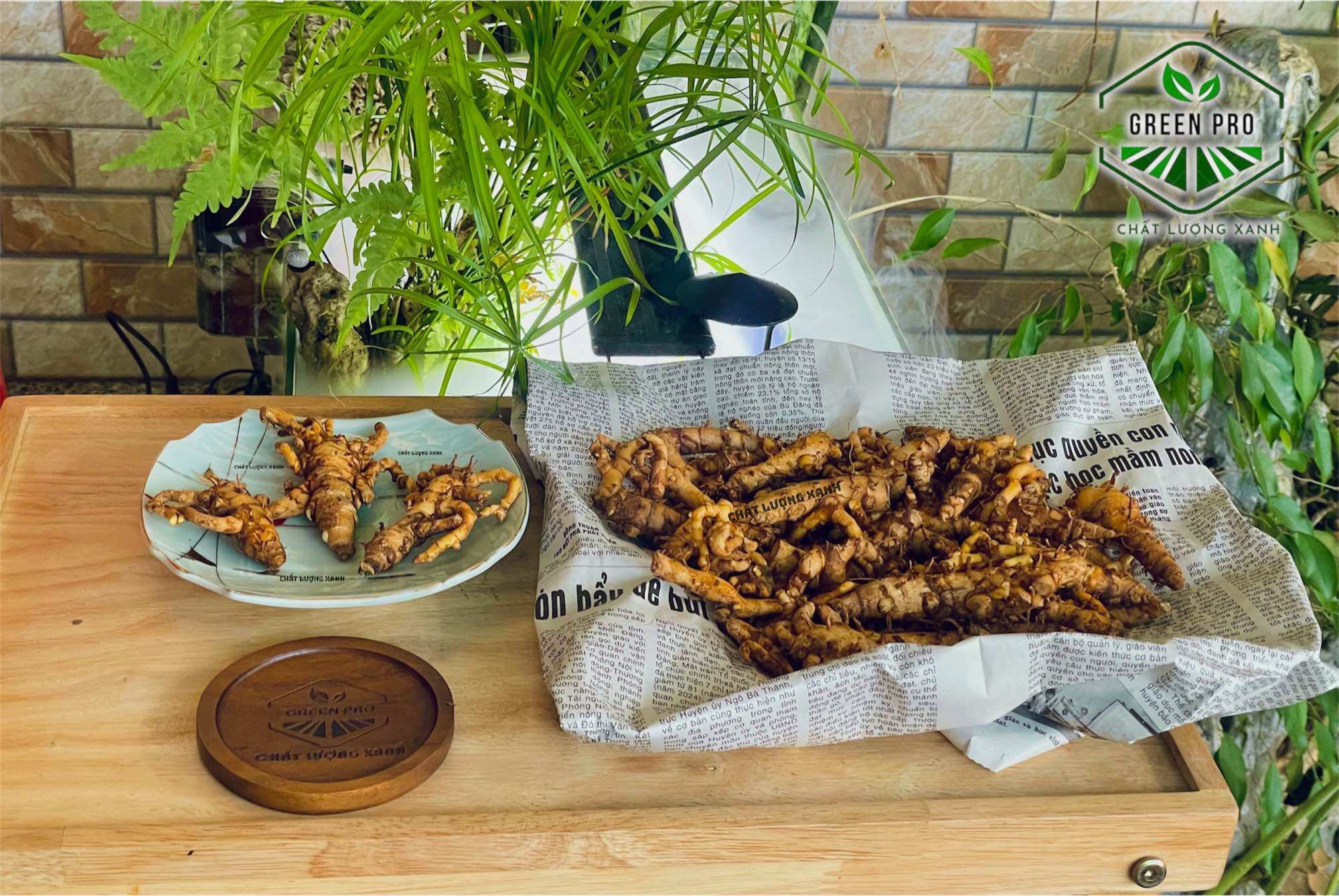NGHỆ BỌ CẠP ( nghệ cực hiếm )