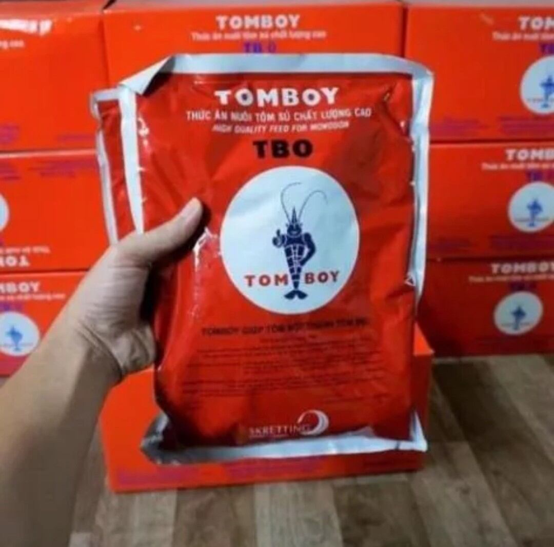 Cám tomboy tbo