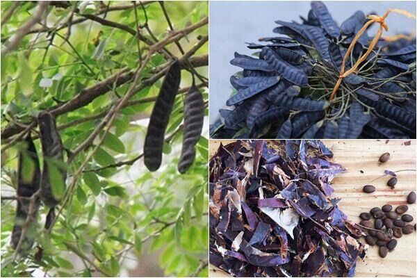 Trái bồ kết khô 1KG Bình Định