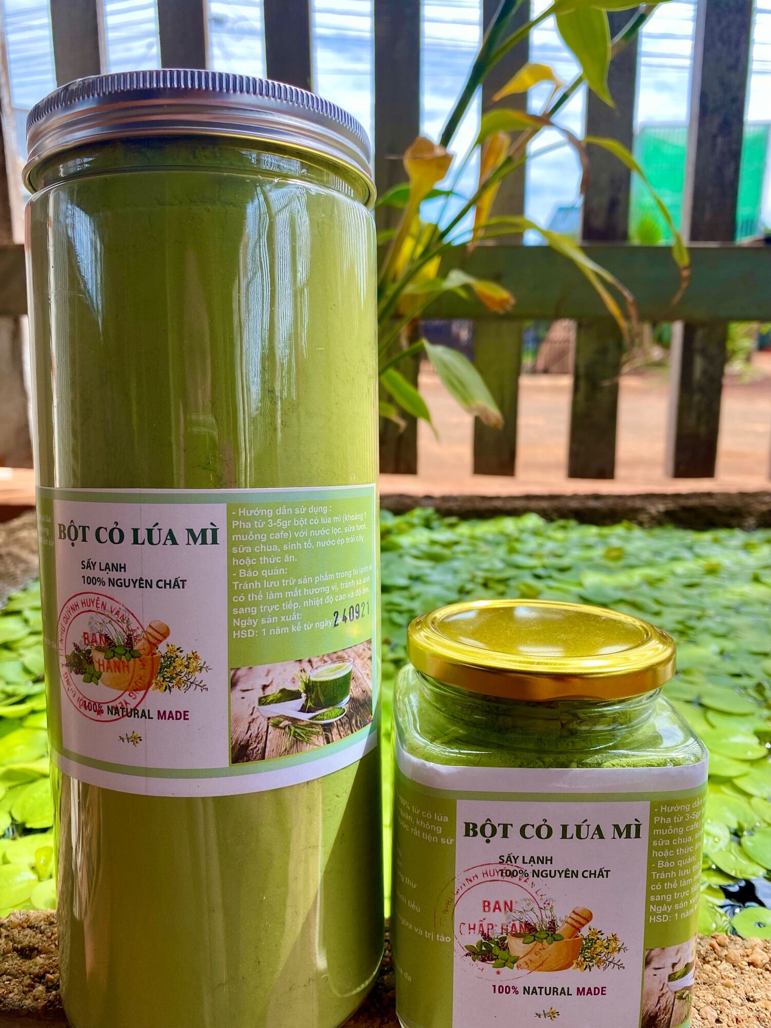 [HCM] Bột cỏ lúa mì sấy lạnh nguyên chất 150gr 500gr