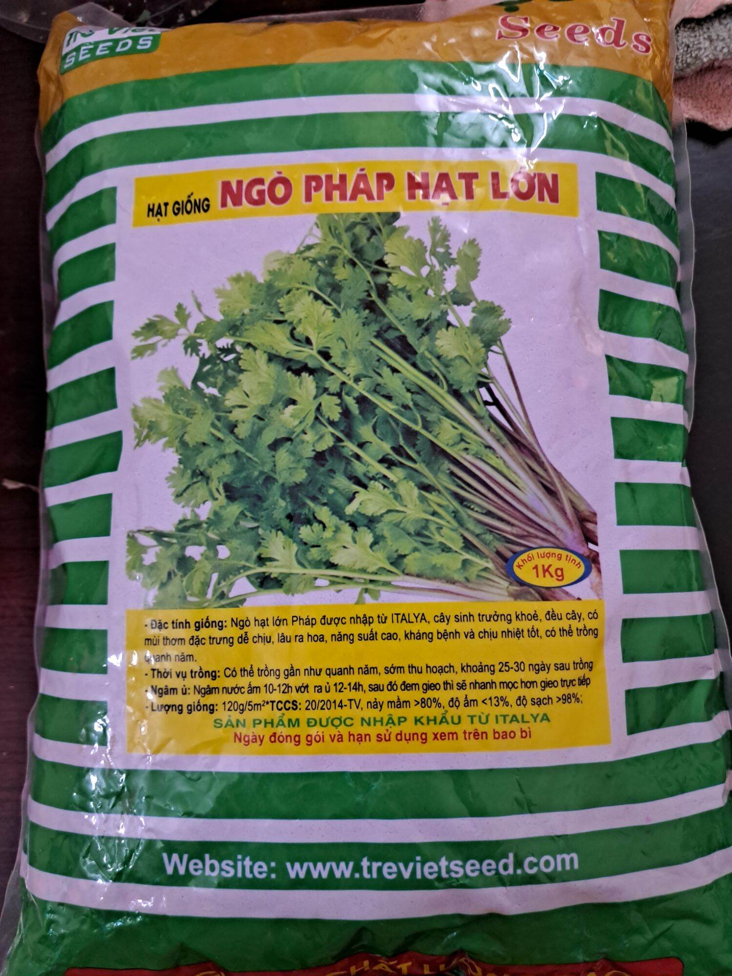 Hạt giống rau ngò gai pháp 10gram