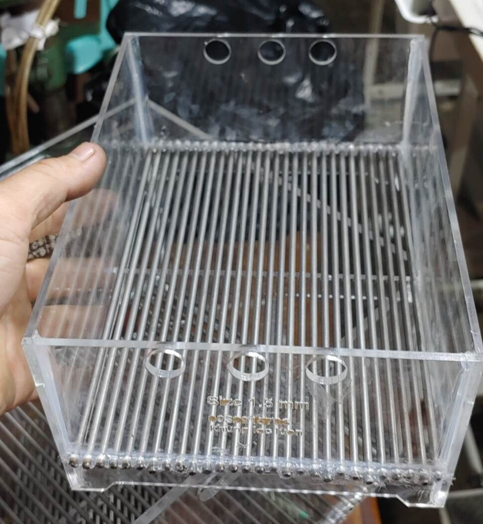 Khung lọc lươn giống size 2.3li 1000con/kg 25x20x15cm