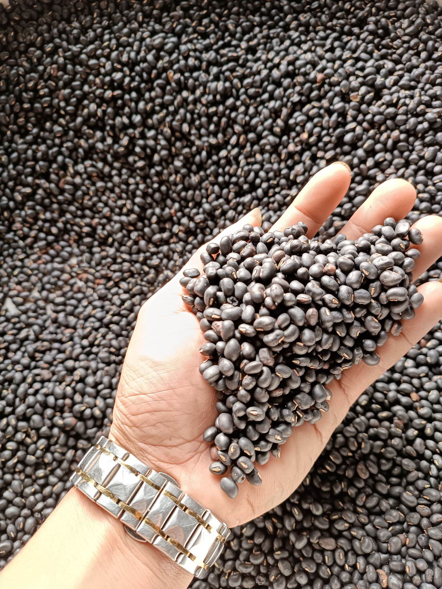 {1kg} Đậu đen xanh lòng rang sẵn.