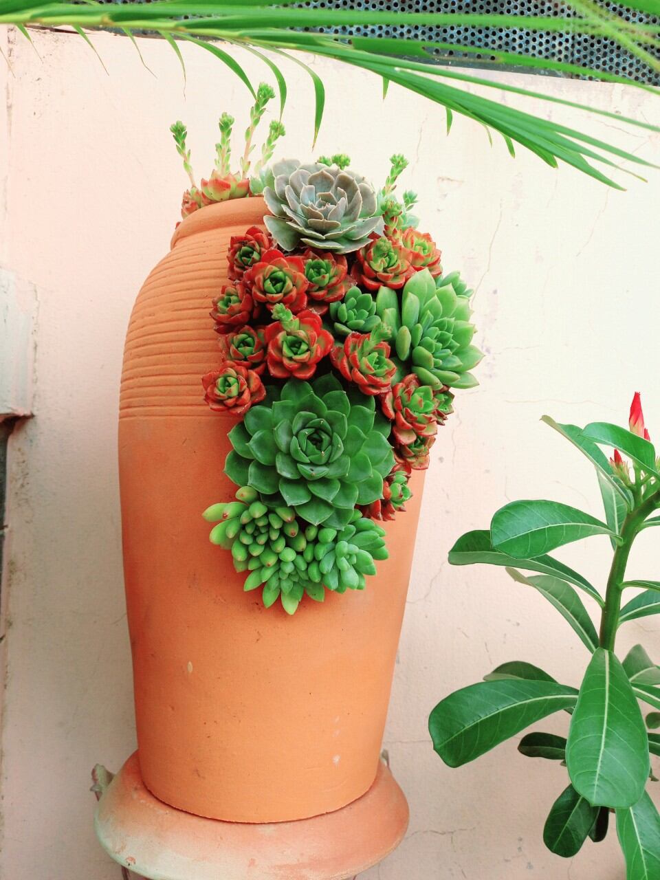 Chậu đất nung Bình Dương xẻ thân cao 30cm, miệng 13