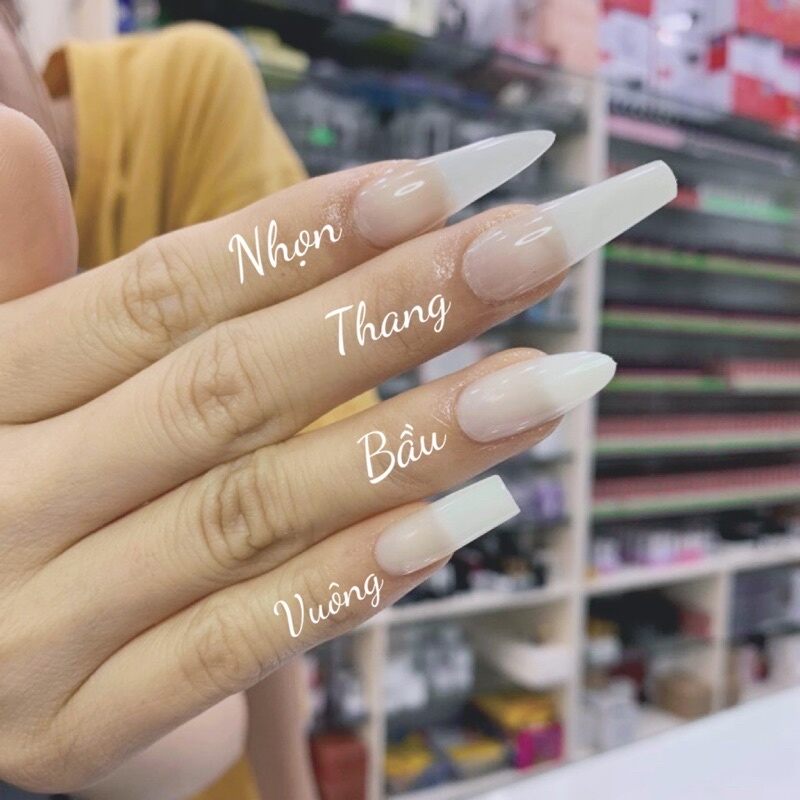 41 Nailbox thiết kế làm thủ công,  hoa sen và cá