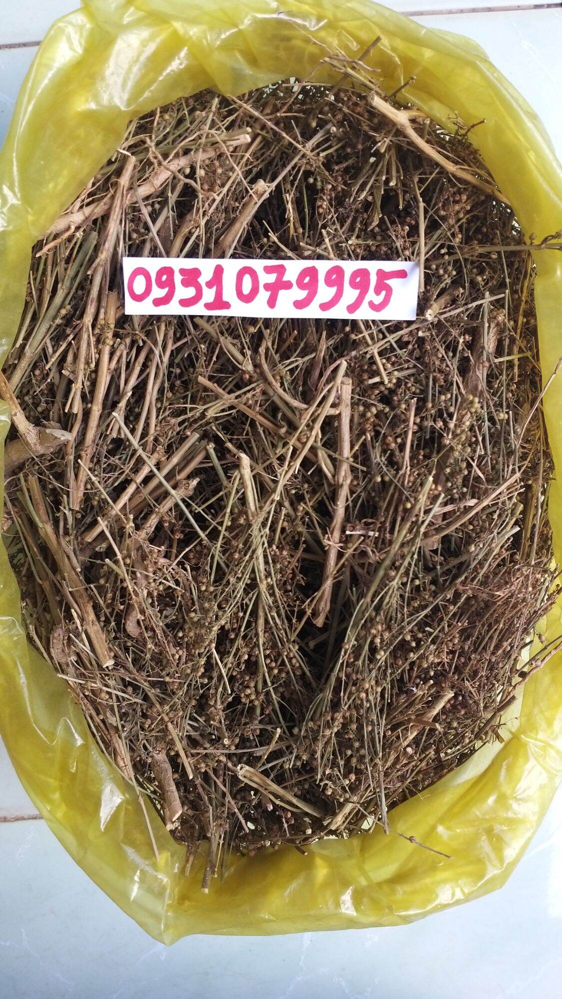 cây cam thảo đất - cam thảo nam phơi khô 1kg