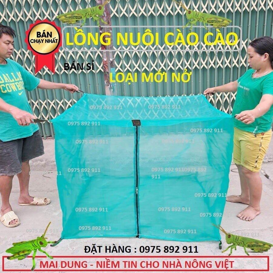 Lồng lưới nuôi cào cào, châu chấu 1x1x1 có đáy màu xanh