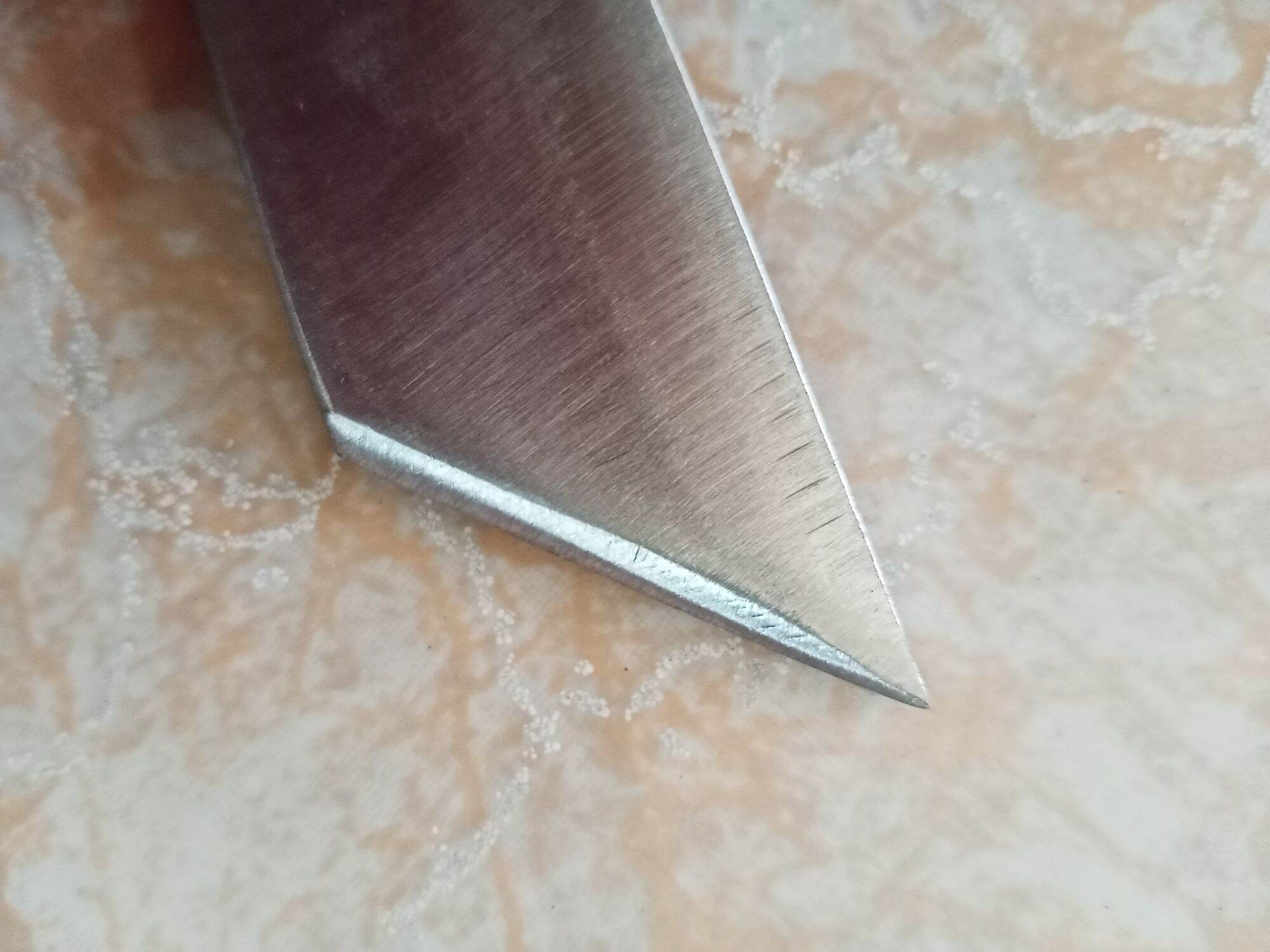 cây cạy sầu riêng