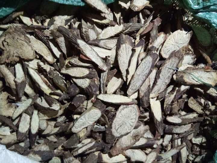 Thân cây đau xương khô dùng cho các chứng xương khớp 1 kg