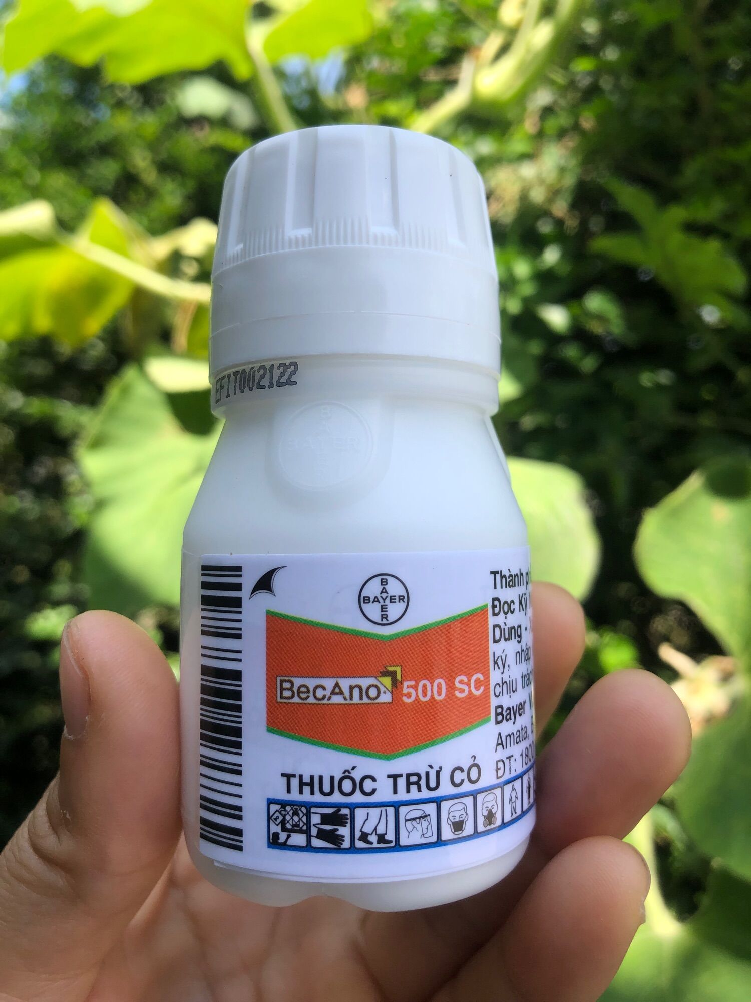 Thuốc trừ cỏ mầm 6 tháng becano 500sc- diệt cỏ mầm*50ml