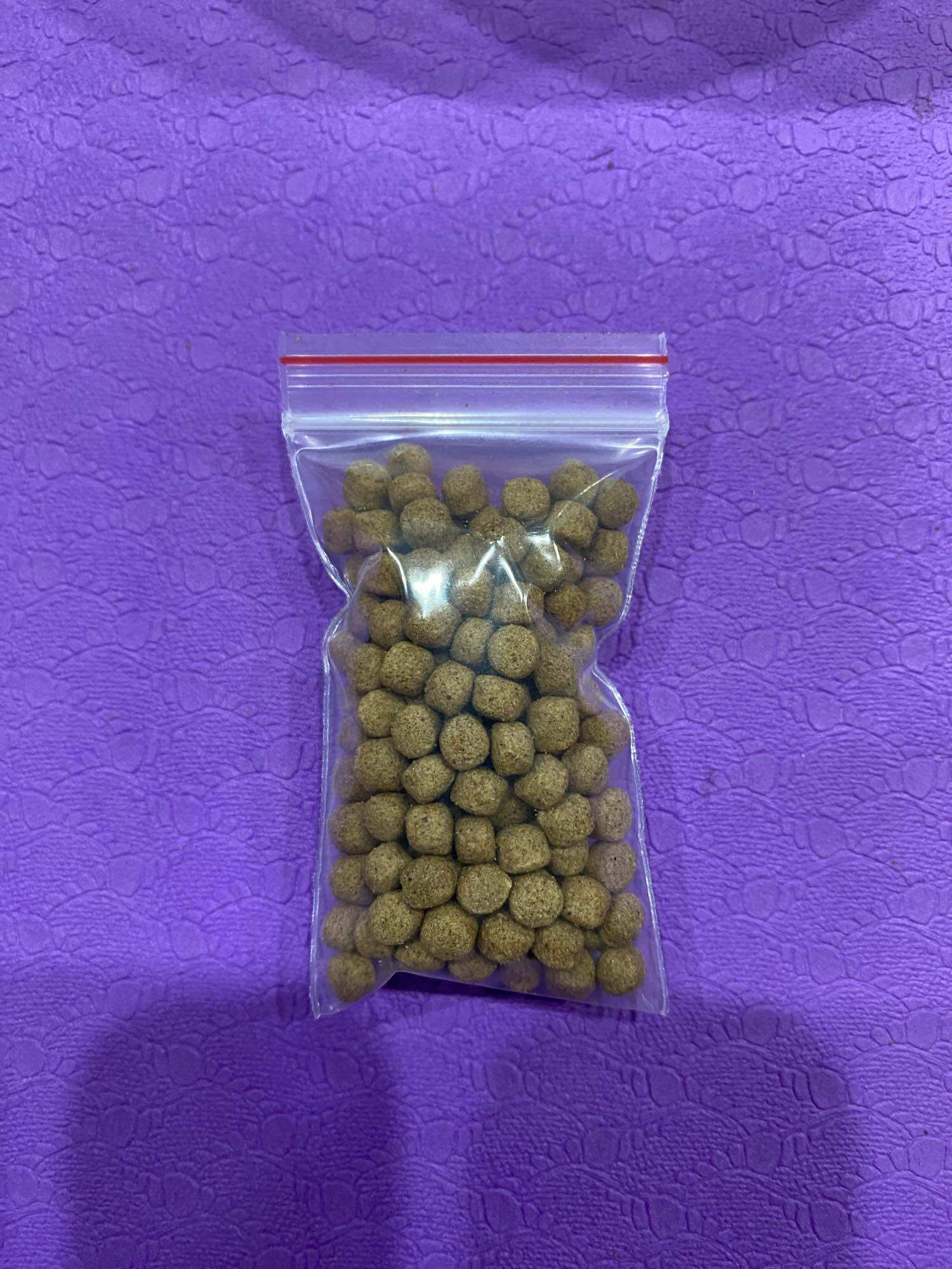 thức ăn cho trùn trắng Grindal worm.