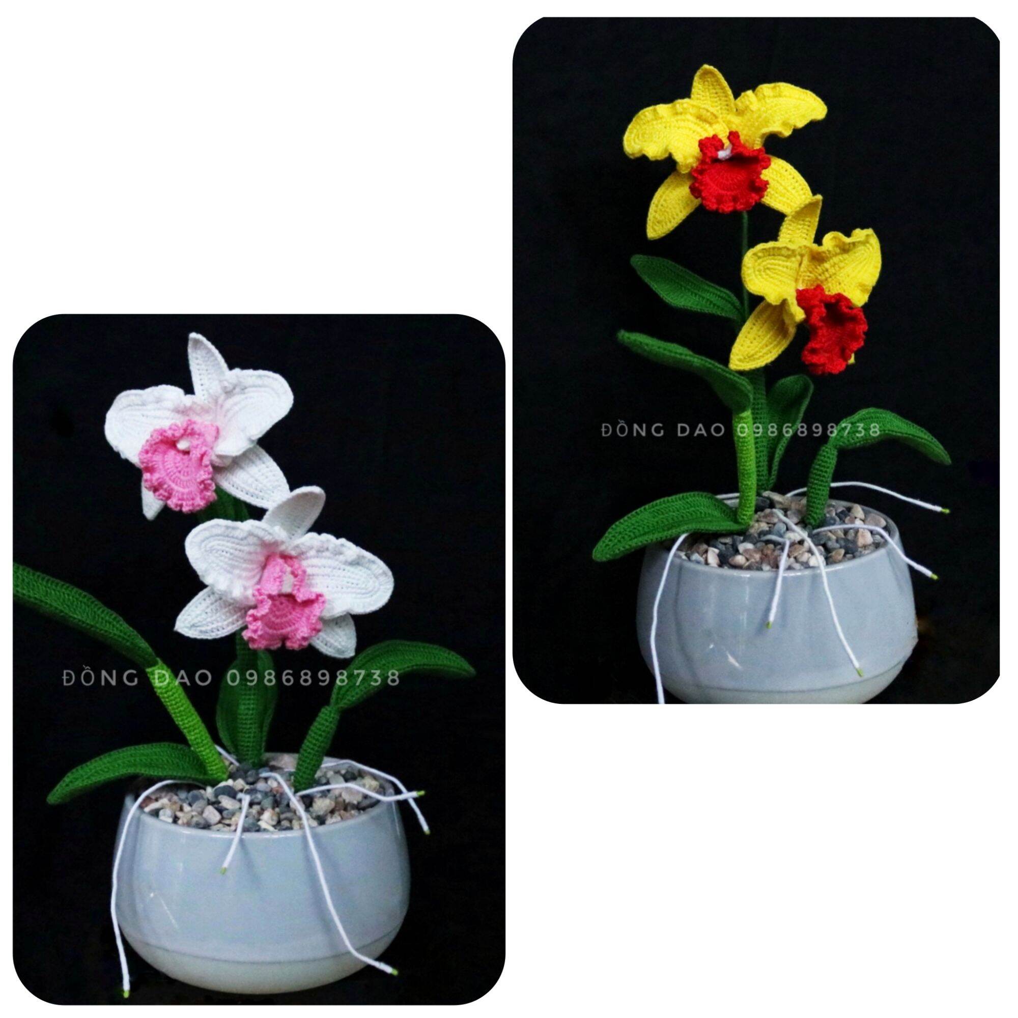 Cây hoa lan cat bằng len handmade / Hoa len trang trí để bàn chụp hình DIY / Crochet Cattleya orchid