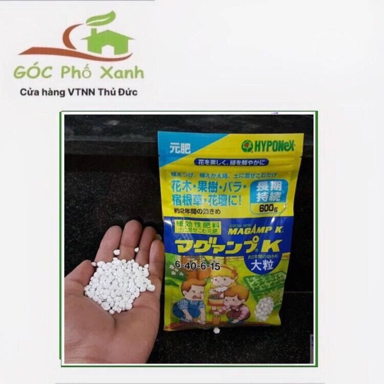 Phân Tan Chậm Nhật bản MAGAMP K 6-40-6-15 (600g) - chuyên dùng kích chồi cho phong lan cây kiểng kích thích phát triển bộ rễ mạnh mẽ. Mập thân dầy lá to lá.