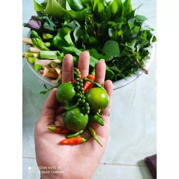COMBO các loại rau rừng