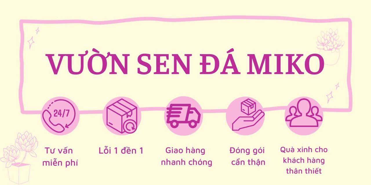 Sen Mông/Thạch Lan cả bụi nhiều cây size cây từ 0,2-0,5cm