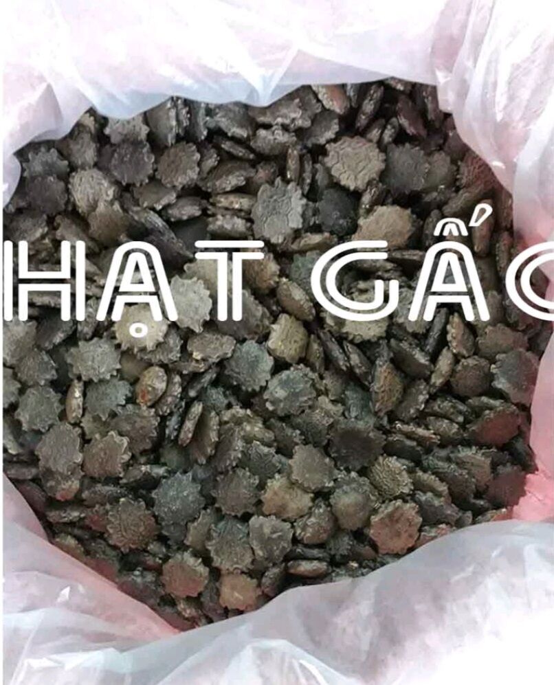 Hạt gấc khô 500g