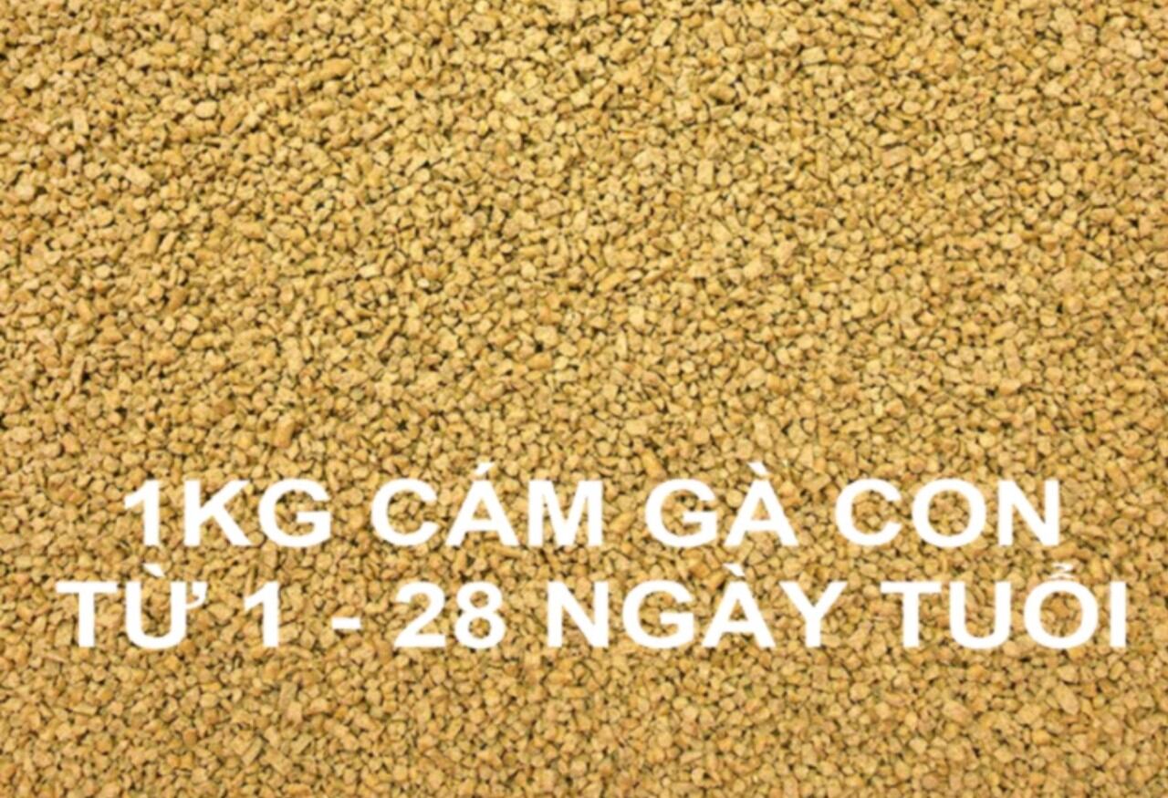 1 Kg  cám mảnh cho gà con, chim non