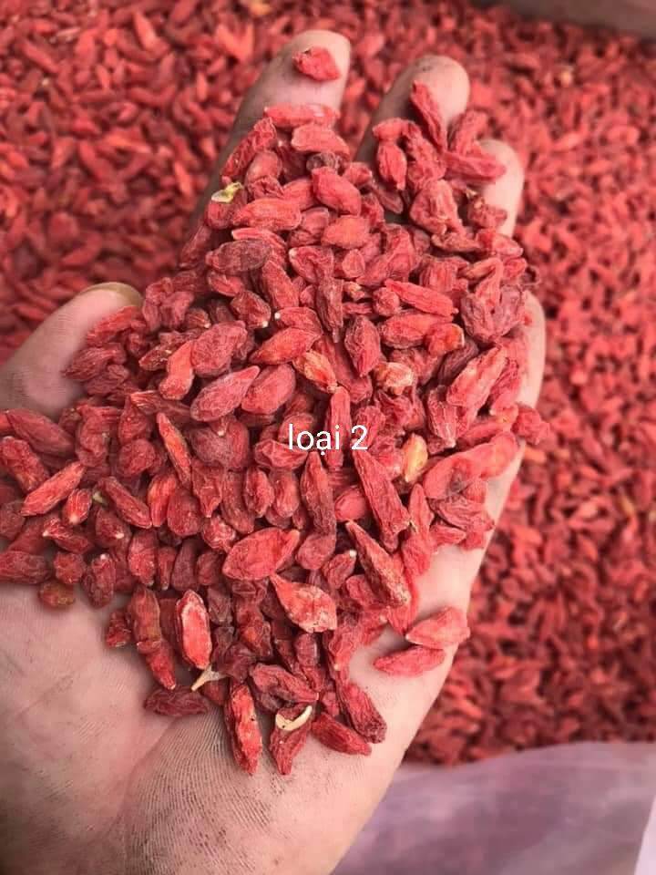 KỈ TỬ ĐỎ(CÂU KỈ TỬ) 500G