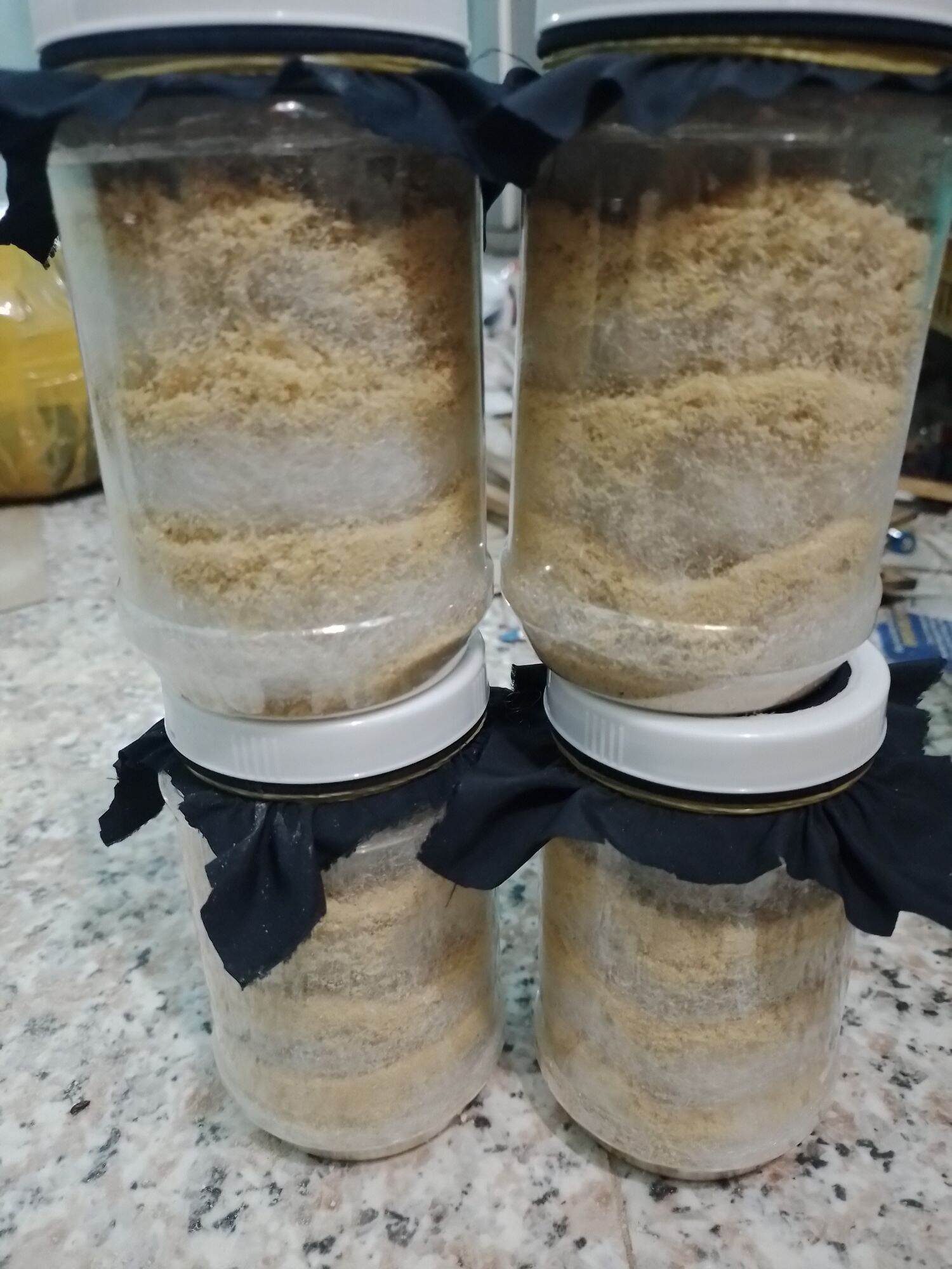 25g trứng ruồi lính đen
