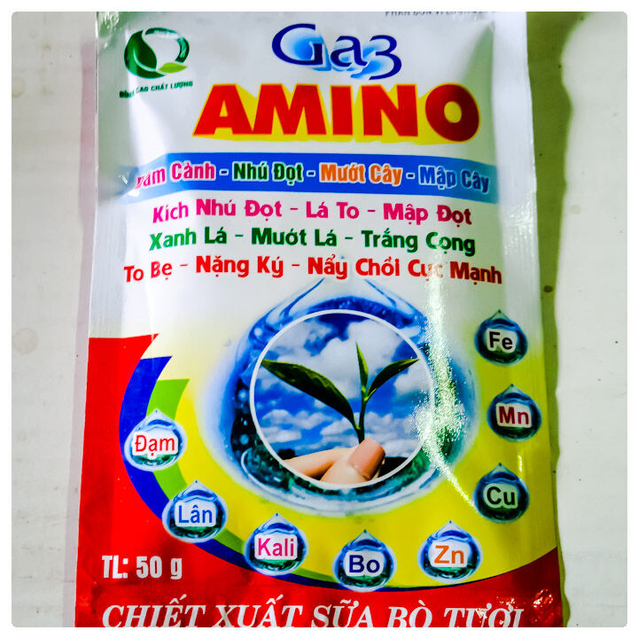 Phân bón đâm chồi vọt đọt mập đọt bung chèo đẻ nhánh (GA3 AMINO)