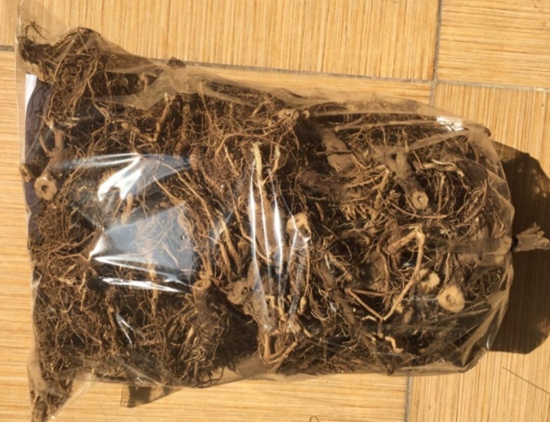 Rễ bồ công anh hữu cơ 200g
