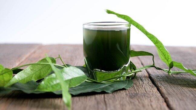 date 2027 Diệp lục hogi 92g