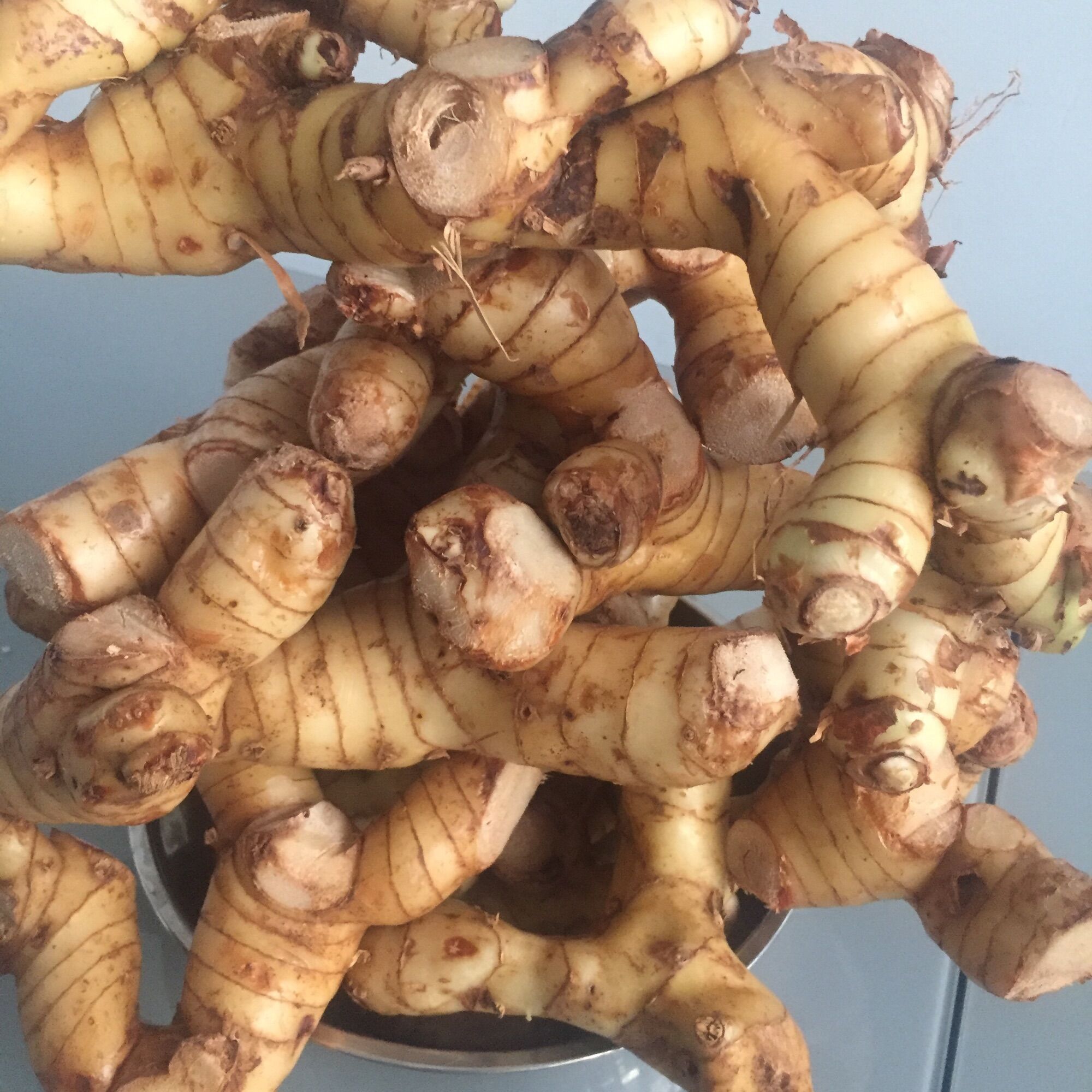 Củ riềng tươi