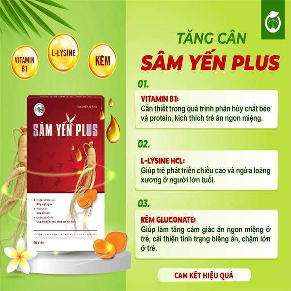 Tăng cân Sâm Yến Plus hộp 60v