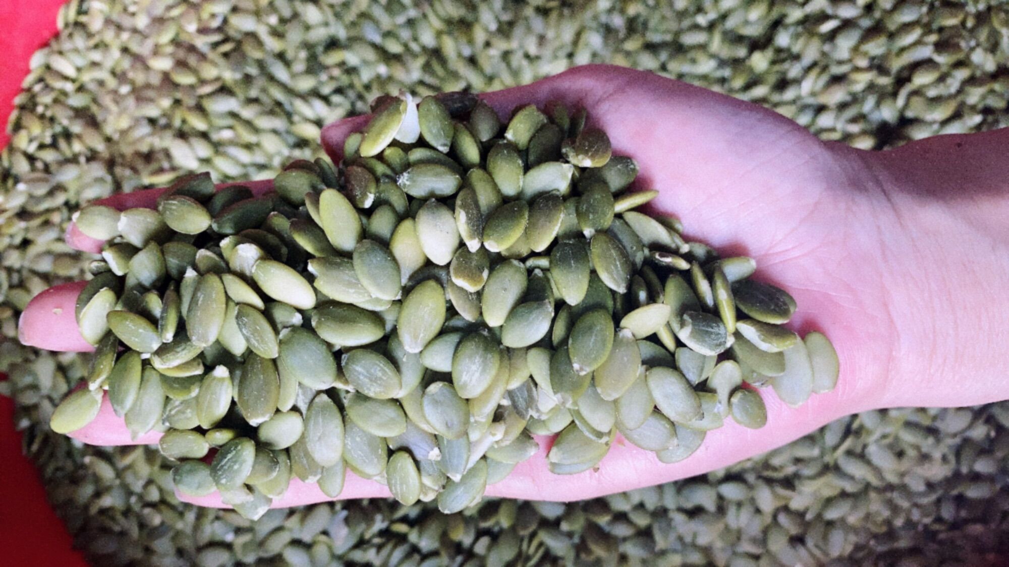 500G Nhân bí Ấn Độ còn sống làm sữa