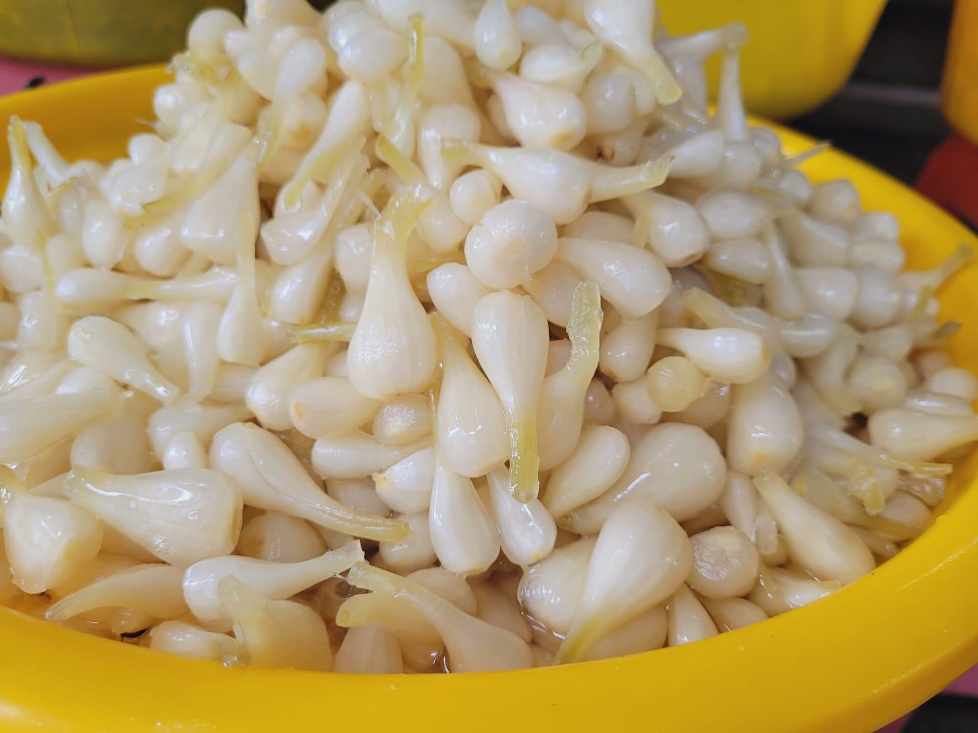 500Gr Kiou Root Soaked in Sugar Vinegar