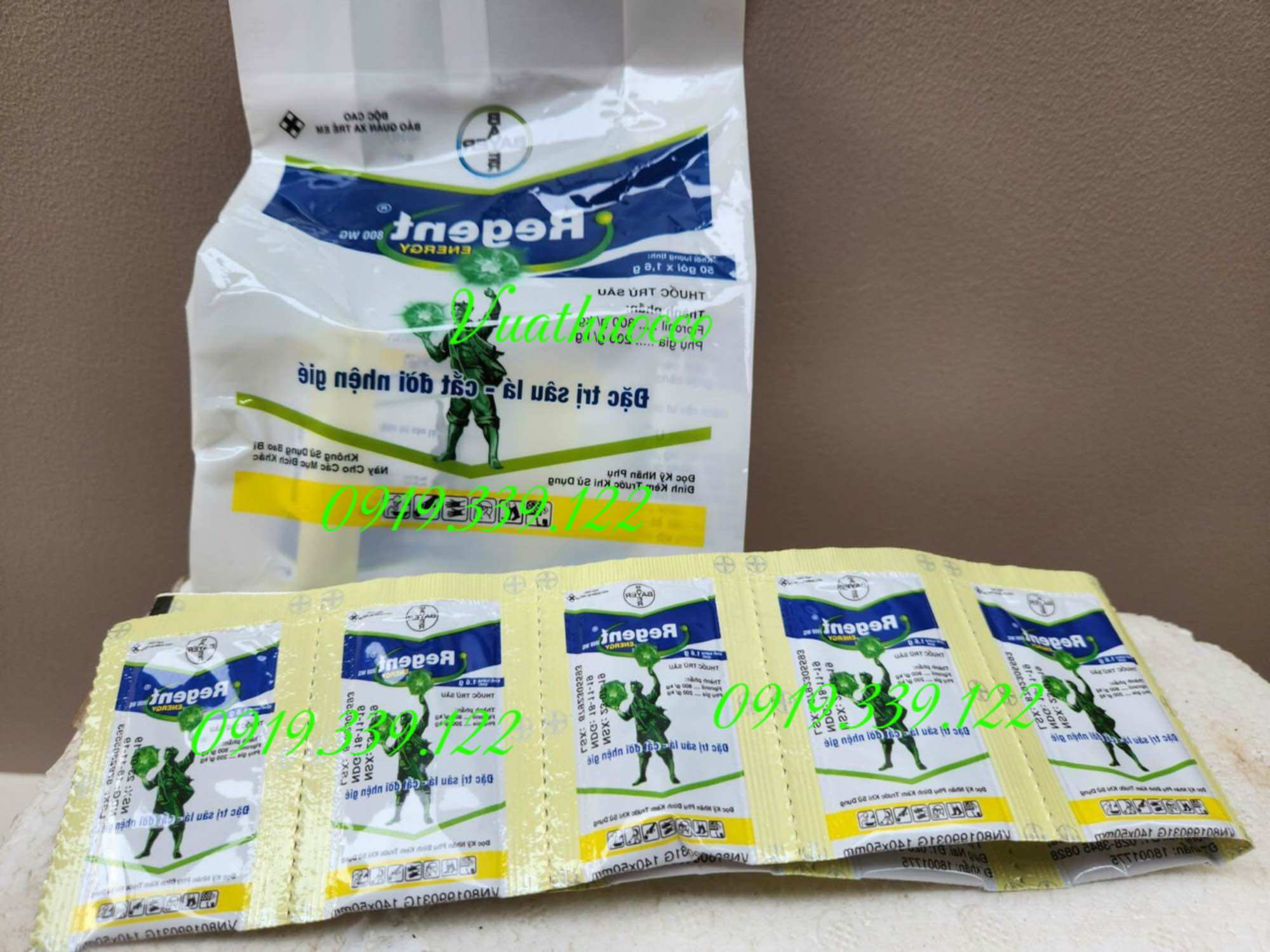 Diệt kiến gián côn trùng
