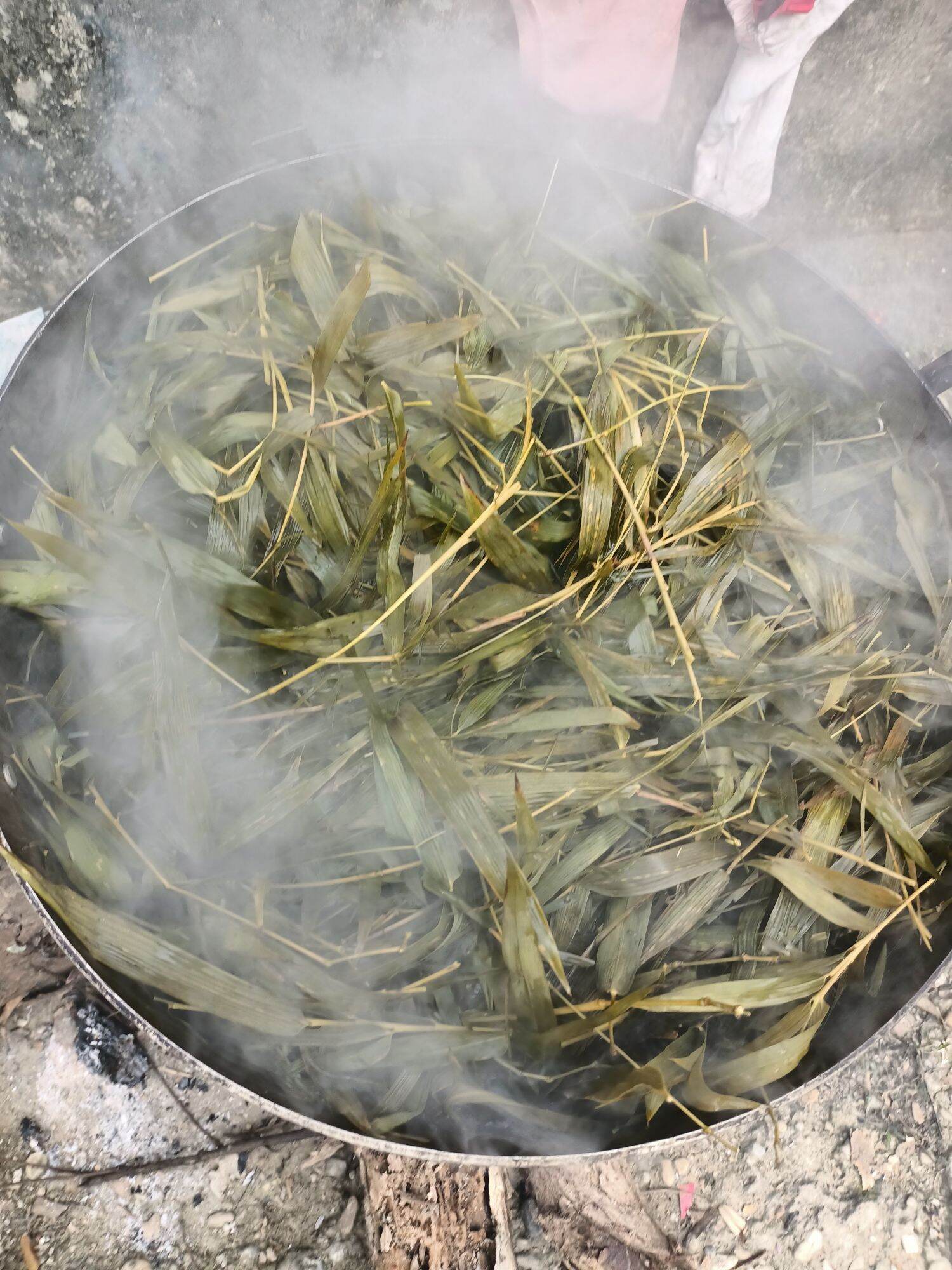 cao lá tre dứa