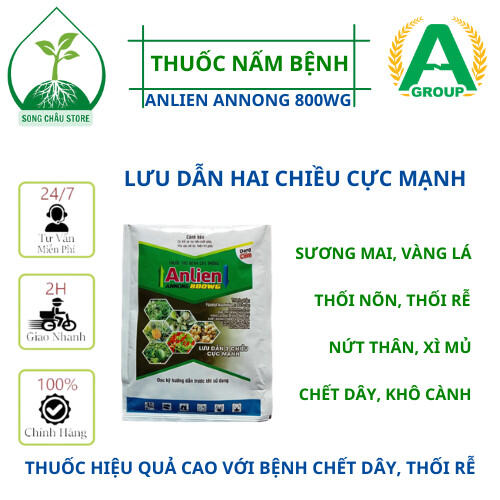 Anlien Annong 800WG Thuốc Trừ Bệnh Cây Lưu Dẫn 2 Chiều Cực Mạnh