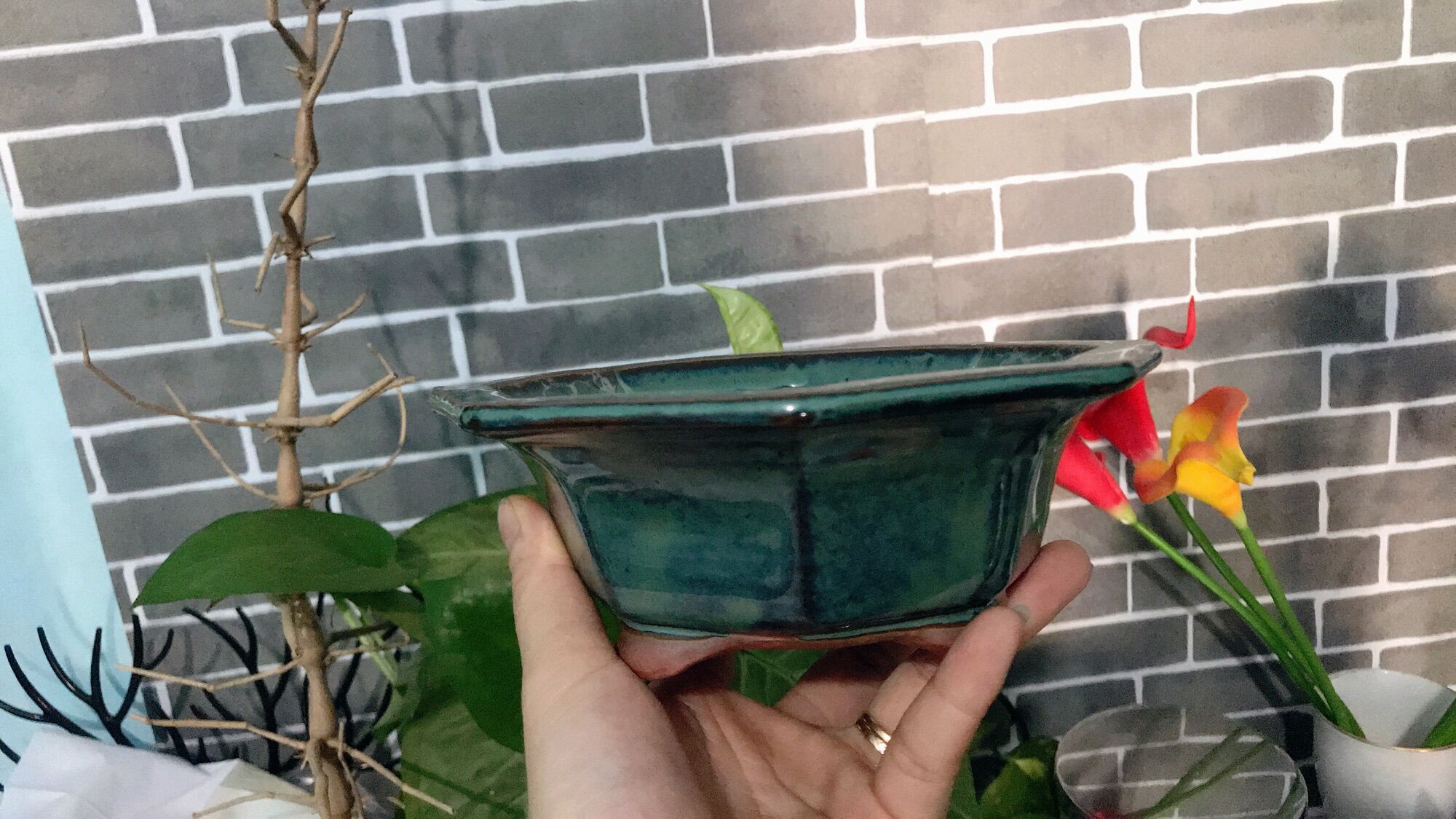 Chậu sứ bát giác men xanh