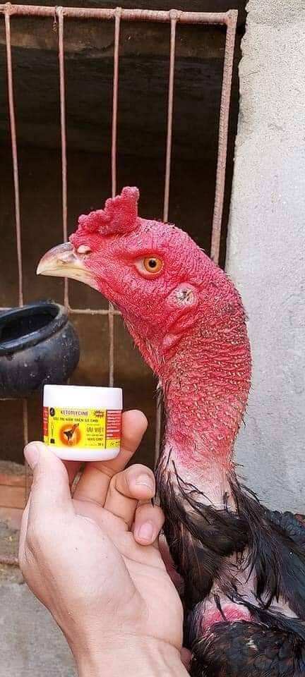 Mốc ưu việt