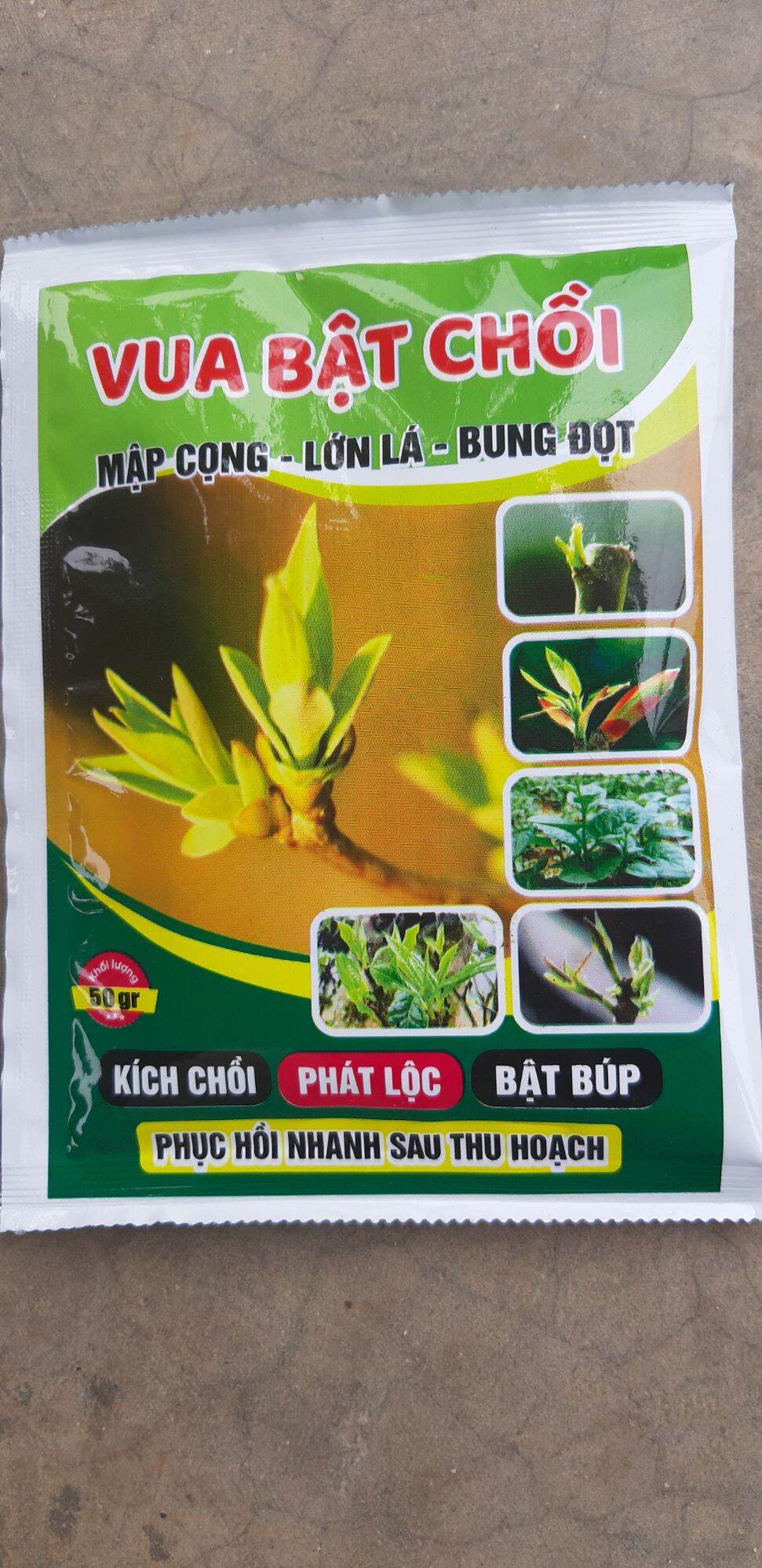 Combo 10 gói vua bật chồi loại 50gr
