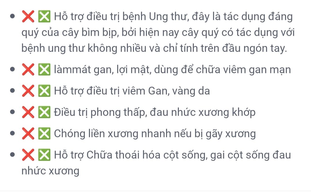 Cây Bìm Bịp